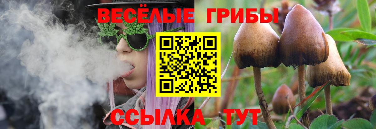 Псилоцибиновые грибы прущие грибы  Вход с VPN  Тавда 
