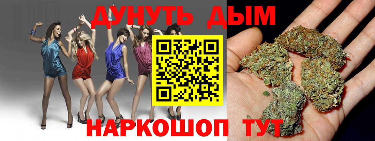 Конопля Bruce Banner  Вход с VPN  Бошки Шишки ГИДРОПОН  Тавда 